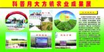 科学展板之农村板