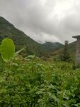 大山
