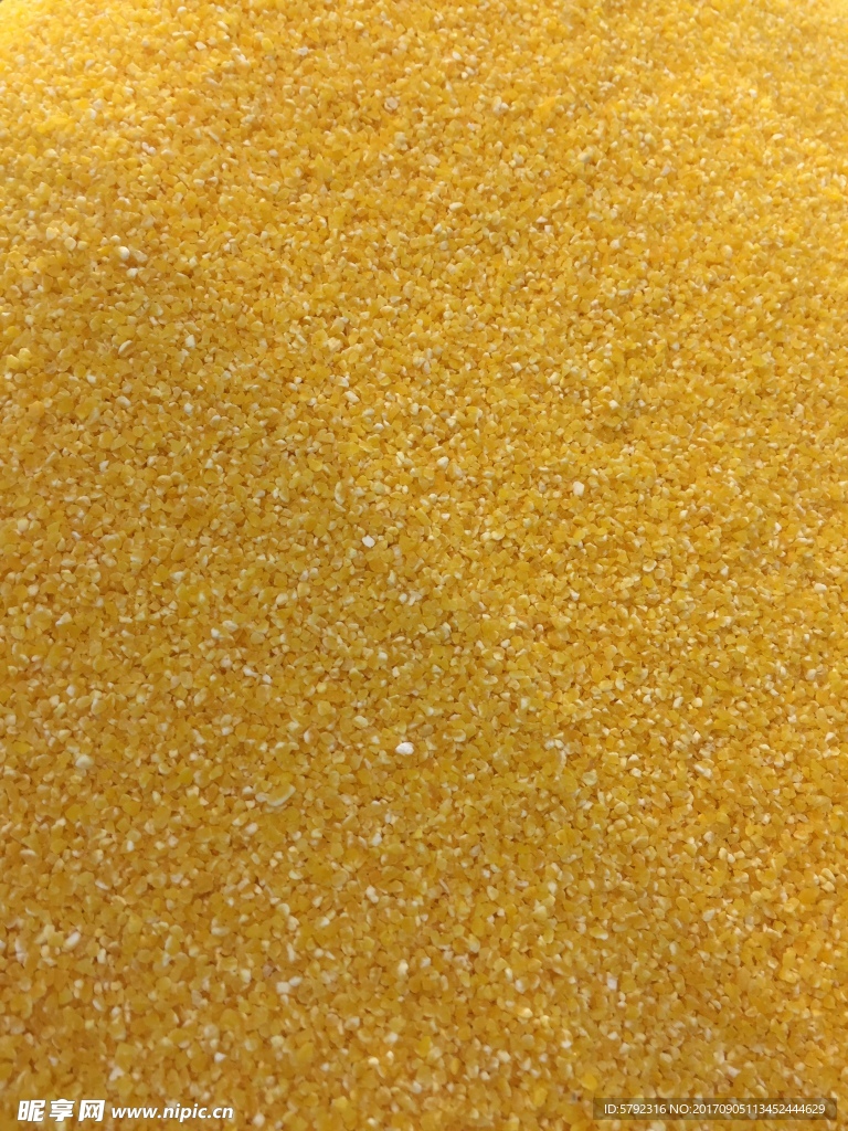 黄粒米