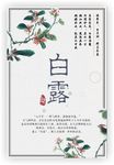 白露二十四节气简约风格海报