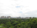山顶风景