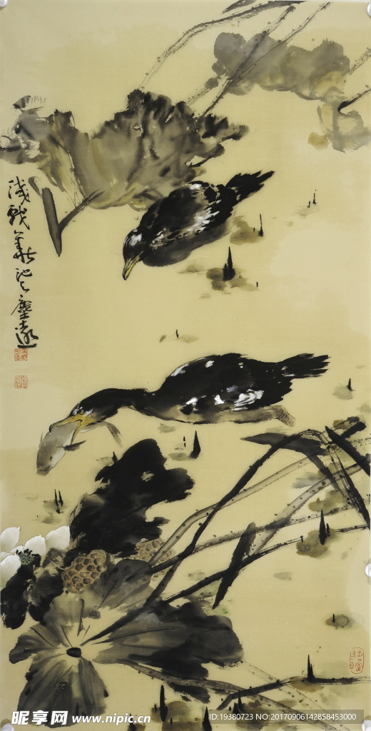 浅戏华池