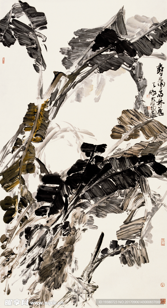 潇潇雨林蕉