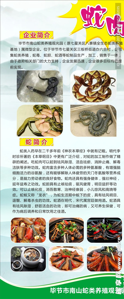 蛇文化