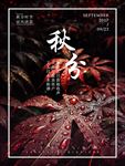 中国传统节日二十四节气秋分