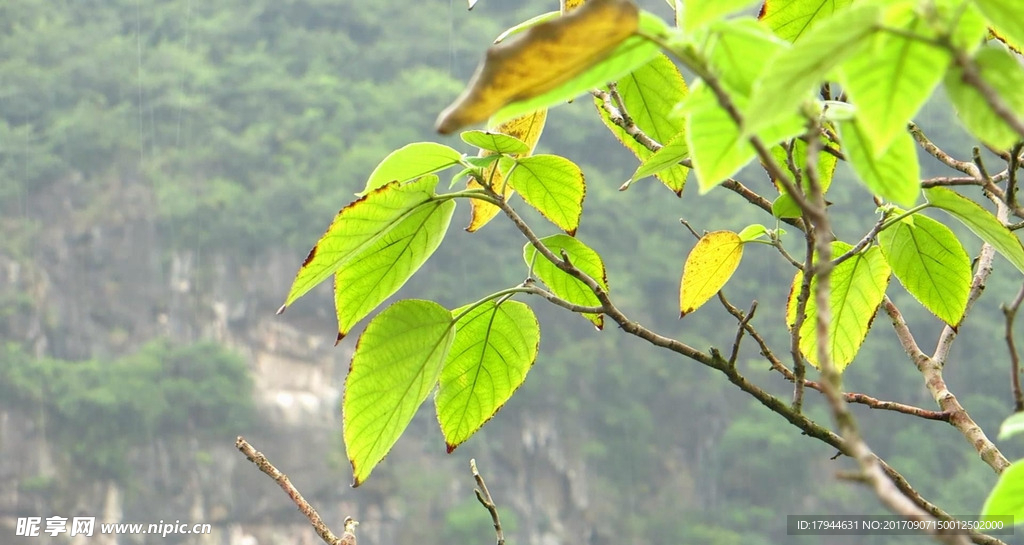 柳州鹅山风景