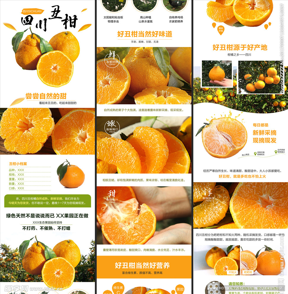 丑橘橘子描述详情页图片