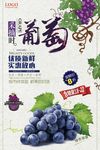 采摘葡萄美食休闲娱乐海报