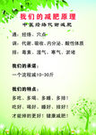 绿色树叶背景