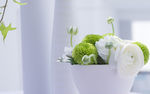 绣球花