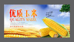玉米