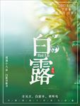 简约清新白露节气海报