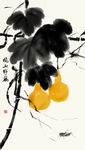 中国画 葫芦高清水墨花鸟