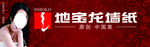 地宝龙墙纸