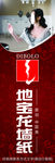 地宝龙墙纸