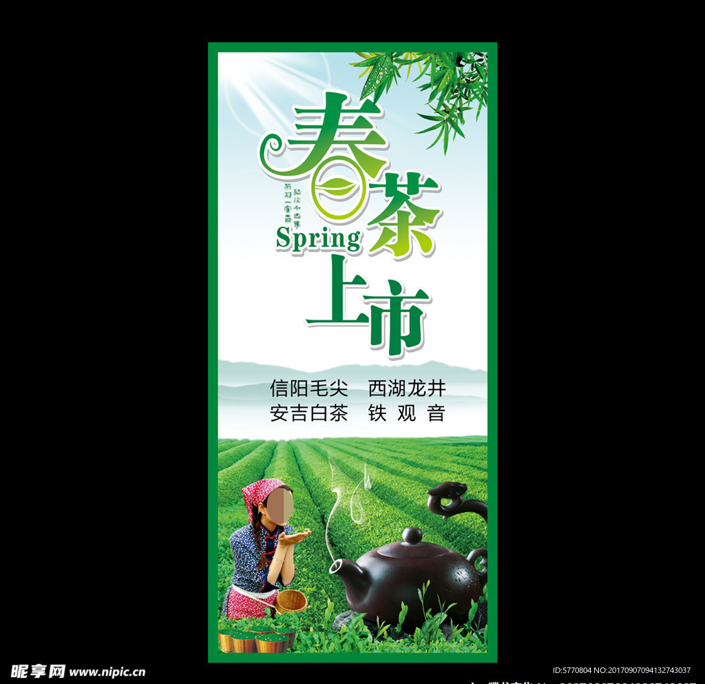 春茶上市