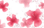 水彩粉色花卉背景墙