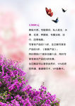 美容养生海报