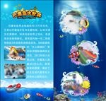 水世界折页