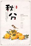 手绘传统节气秋分海报