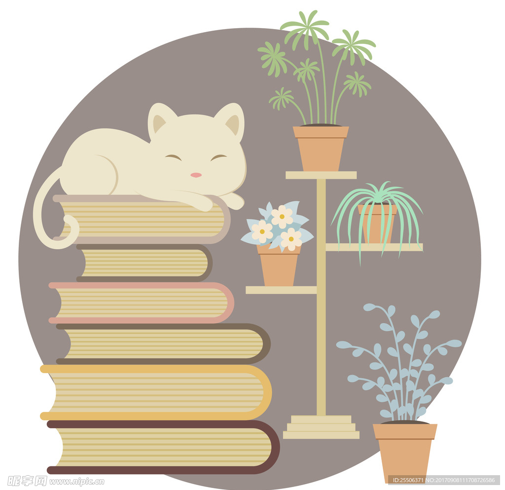 慵懒的猫