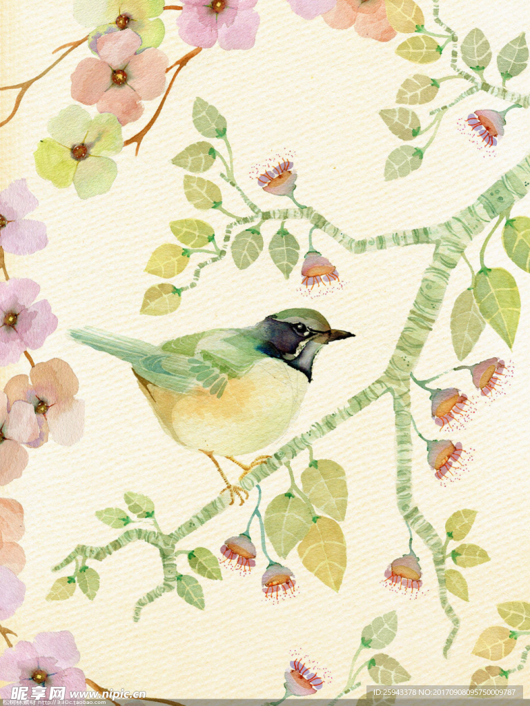 装饰画  花鸟  手绘