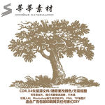 大树 硅藻泥矢量图图片