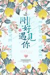 刚好遇见你