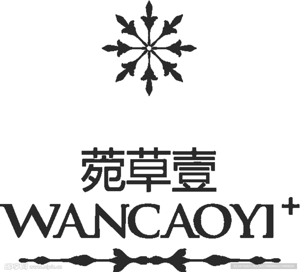 菀草壹
