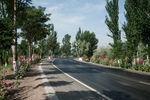 公路风景