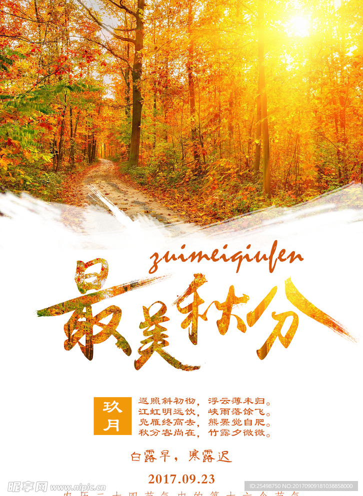秋分秋季海报