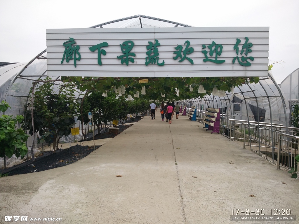 廊下果蔬园