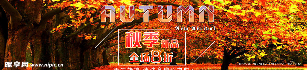 秋季新品