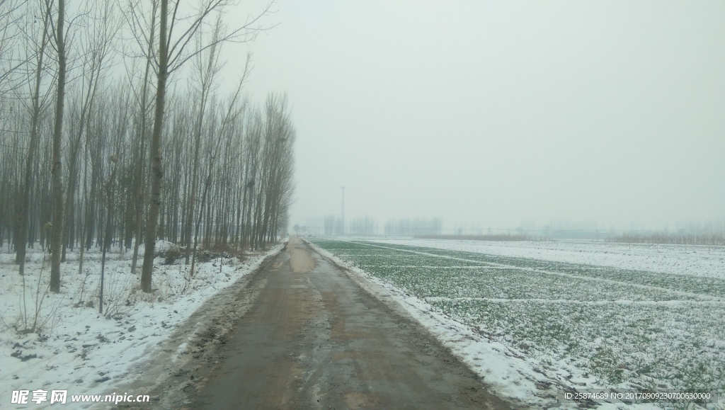 乡村雪景