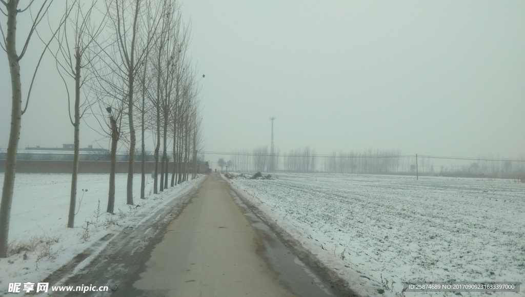 乡村雪景