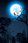 天空夜景矢量素材