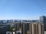 城市