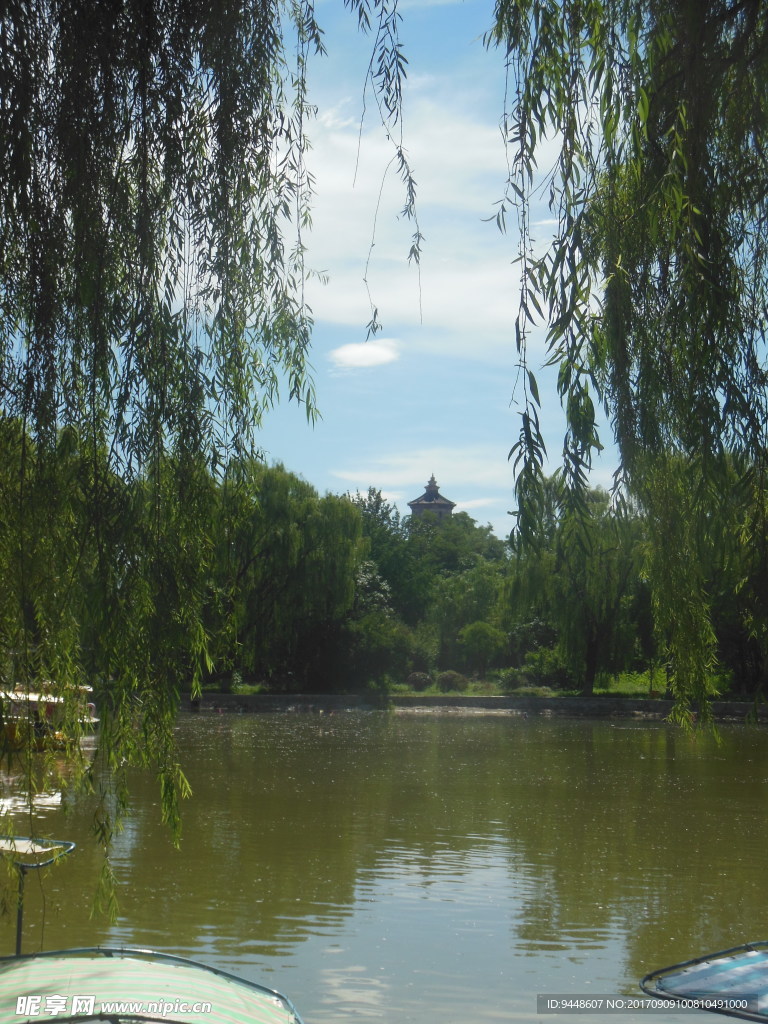 公园风景