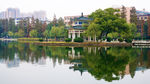 湖畔风景