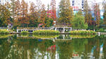 公园水景