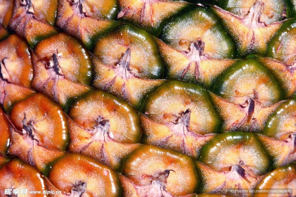 菠萝