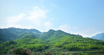 蓝天下的绿色山脉图片