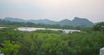 绿色竹林和远山风景