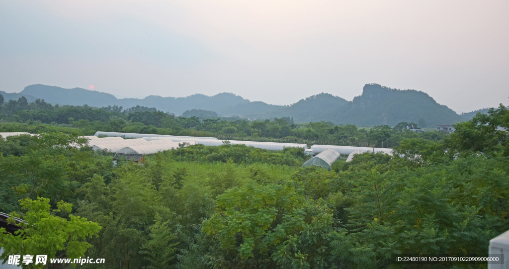 绿色竹林和远山风景