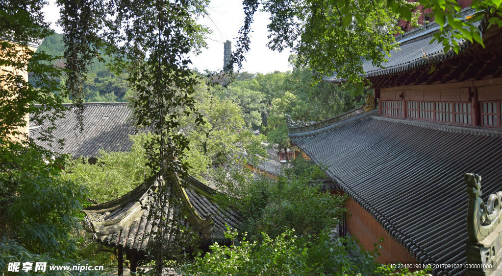 绿意浓浓的寺院建筑