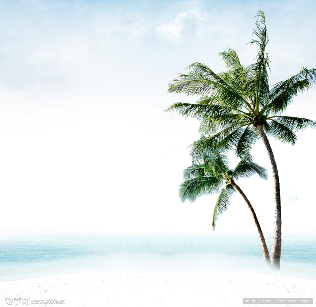 电商夏季海边树木直通车背景
