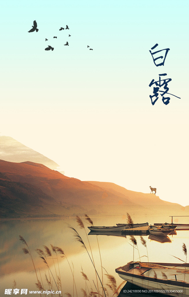 电商白露海报背景
