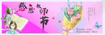 感恩教师节