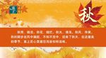 秋季海报