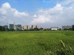 小镇风光